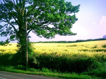 Venta - Verín - S005003